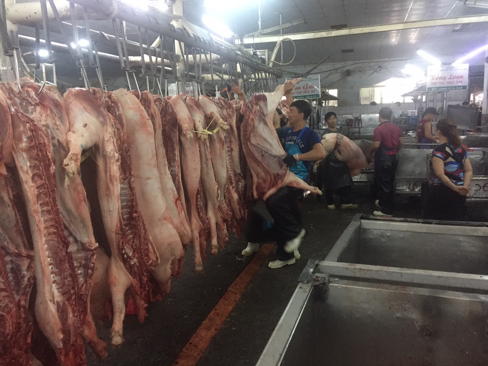 Bất chấp chỉ đạo, gi&aacute; heo hơi vẫn tăng cao - Ảnh 1.