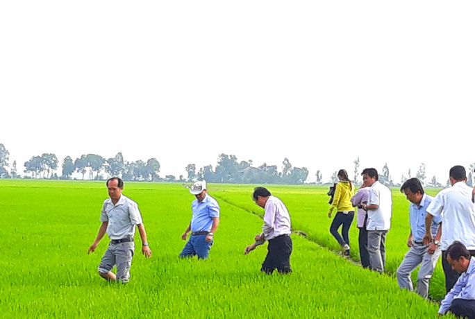 Bộ Công Thương hoả tốc xin ý kiến về "an ninh lương thực quốc gia" đối với gạo nếp