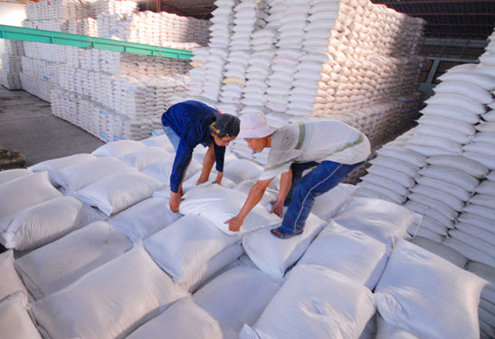 Khuất tất trong xuất khẩu gạo