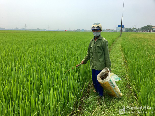 Ngỡ ng&agrave;ng đến kh&oacute; tin lươn đồng ồ ạt trườn v&agrave;o &ldquo;nh&agrave;&rdquo; cao thủ! - Ảnh 4.