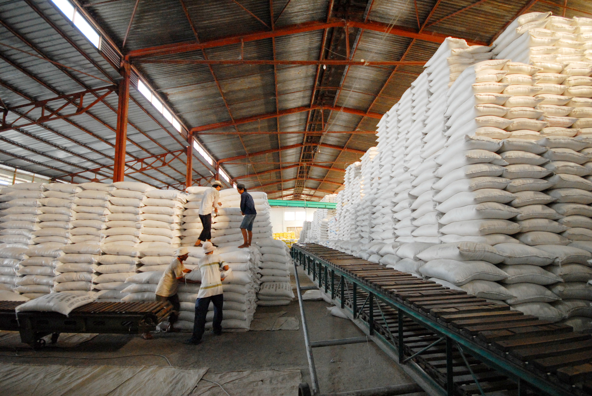 Xuất khẩu gạo phải bảo đảm an ninh lương thực