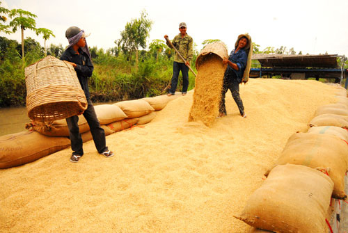 Khẩn trương giải tỏa gạo tại cảng