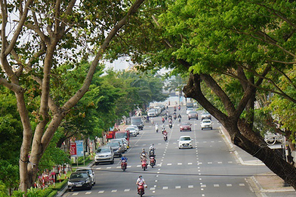 Gi&aacute; đất tại Đ&agrave; Nẵng cao nhất 98,8 triệu đồng/m2 - Ảnh 1.