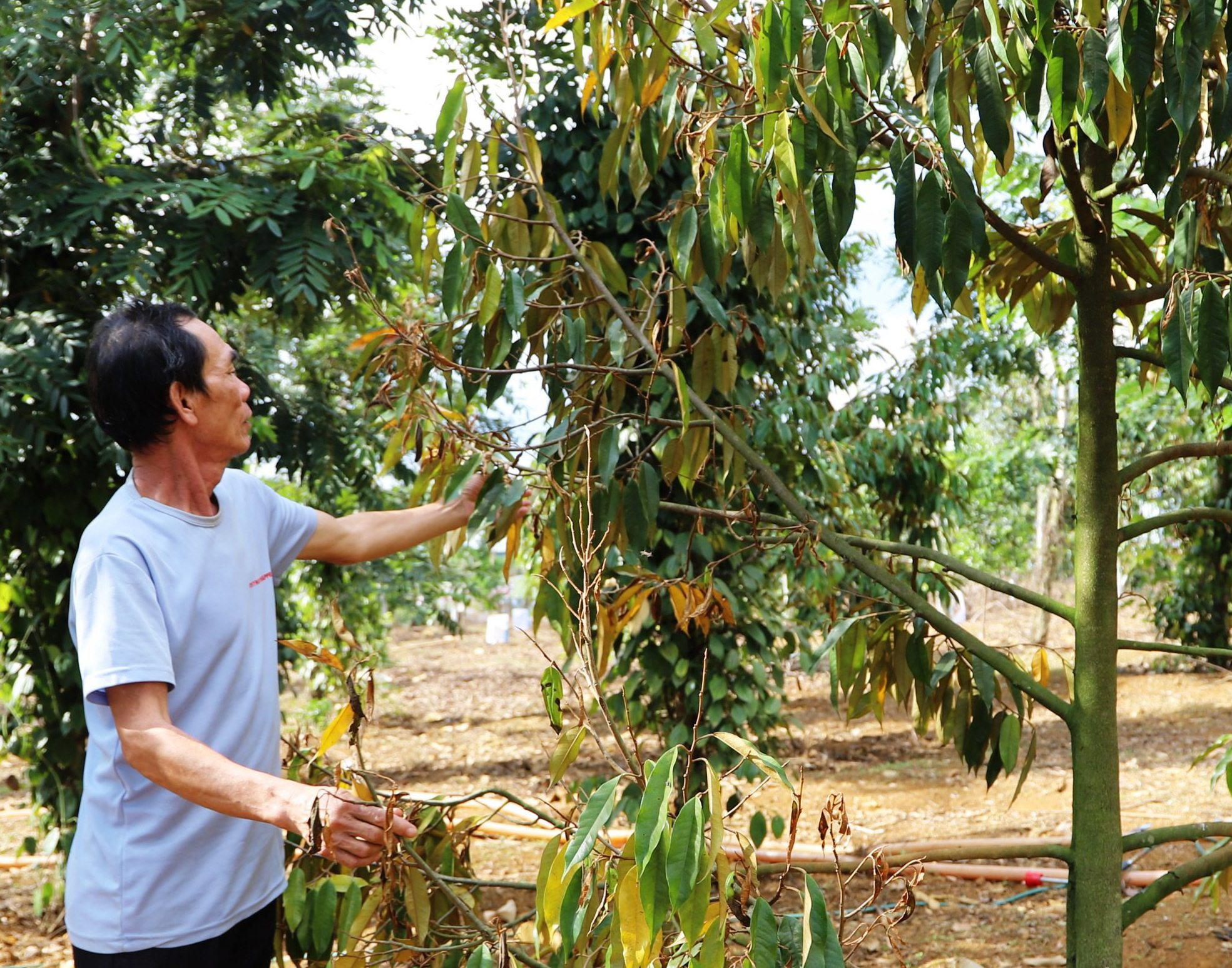 Lan tỏa lòng nhân