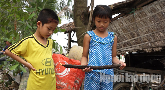 Về miền T&acirc;y ngắm vẻ đẹp dung dị của b&ocirc;ng v&agrave; tr&aacute;i &ocirc; m&ocirc;i - Ảnh 11.
