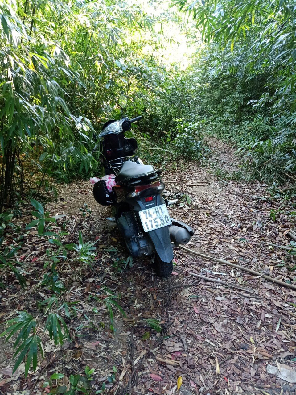 Huy động lực lượng tìm kiếm 2 cô gái bị mất tích khi đi hái măng rừng
