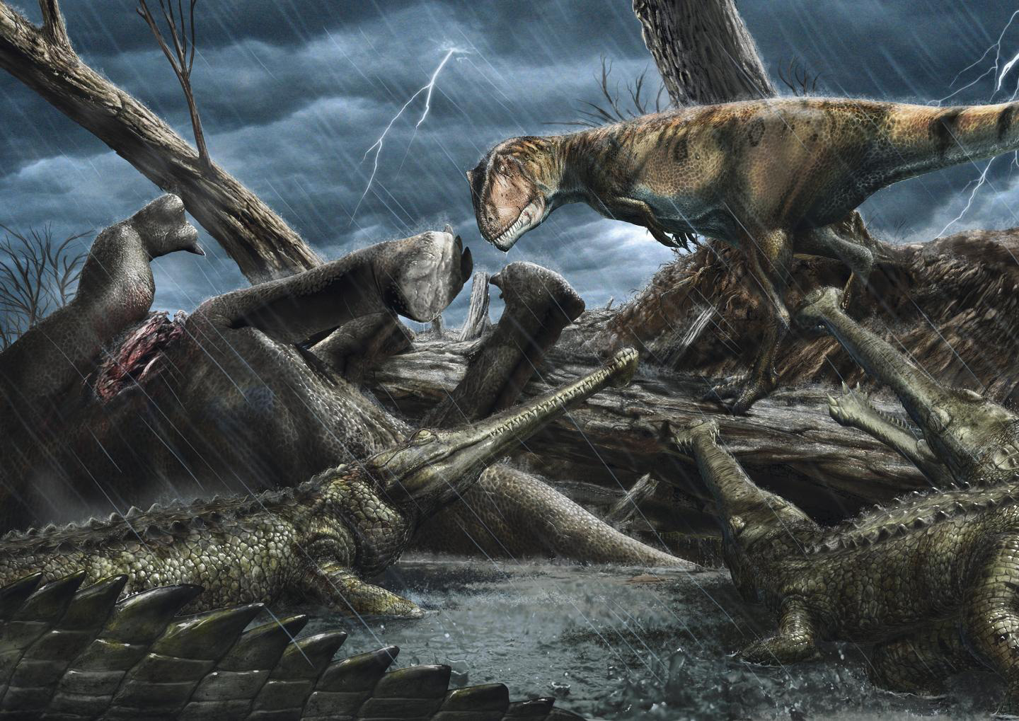 Phát hiện vùng tử thần nguy hiểm nhất trái đất: "Thánh địa quái thú"