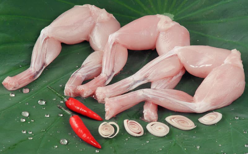 Hướng dẫn cách làm món ếch nướng muối ớt đậm đà dân dã - Ảnh 1.