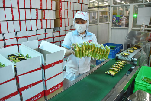 Dấu ấn Vifon