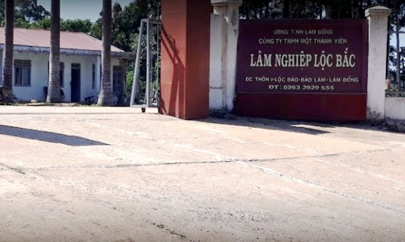 Nguyên giám đốc Sở NNPT-NT Lâm Đồng bị khởi tố vì liên quan đến rừng