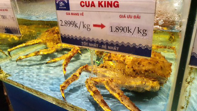 Tôm cua Alaska giá đang bèo, chủ nhà hàng lớn vẫn lắc đầu không bán - Ảnh 1.
