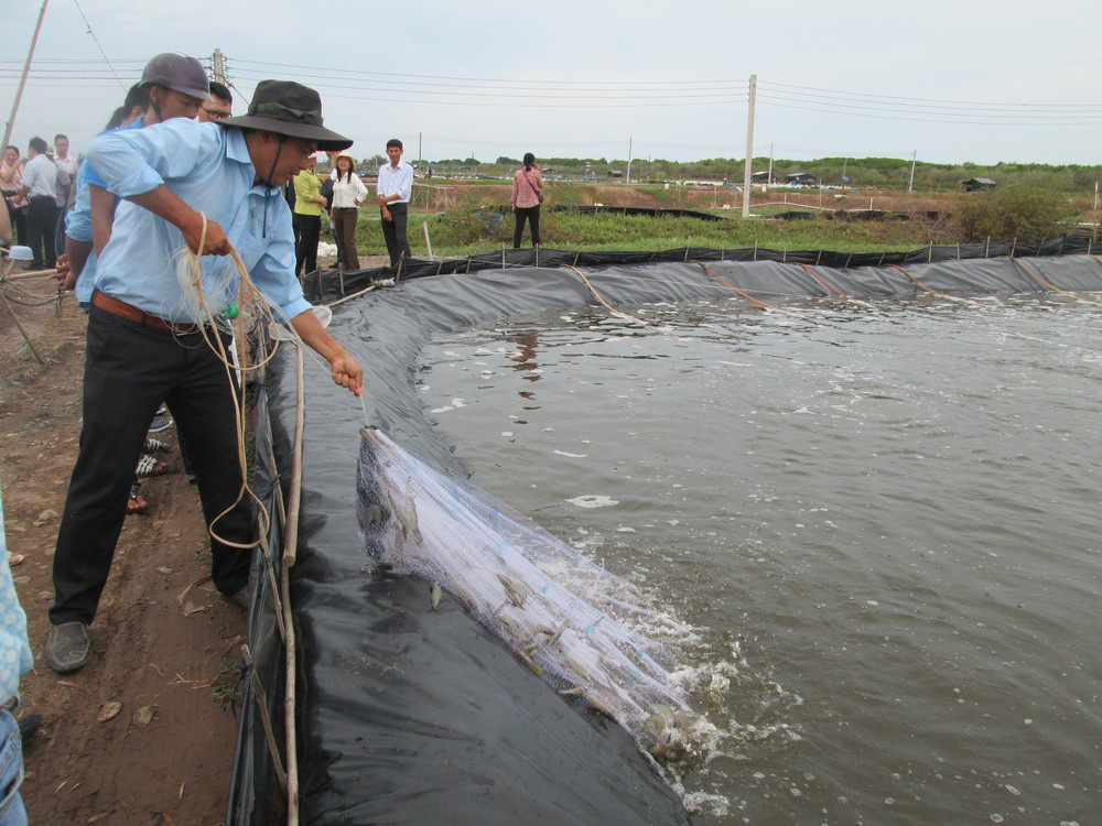 Doanh nghiệp xuất khẩu thủy sản than khổ vì chính sách hỗ trợ không đồng đều - Ảnh 1.