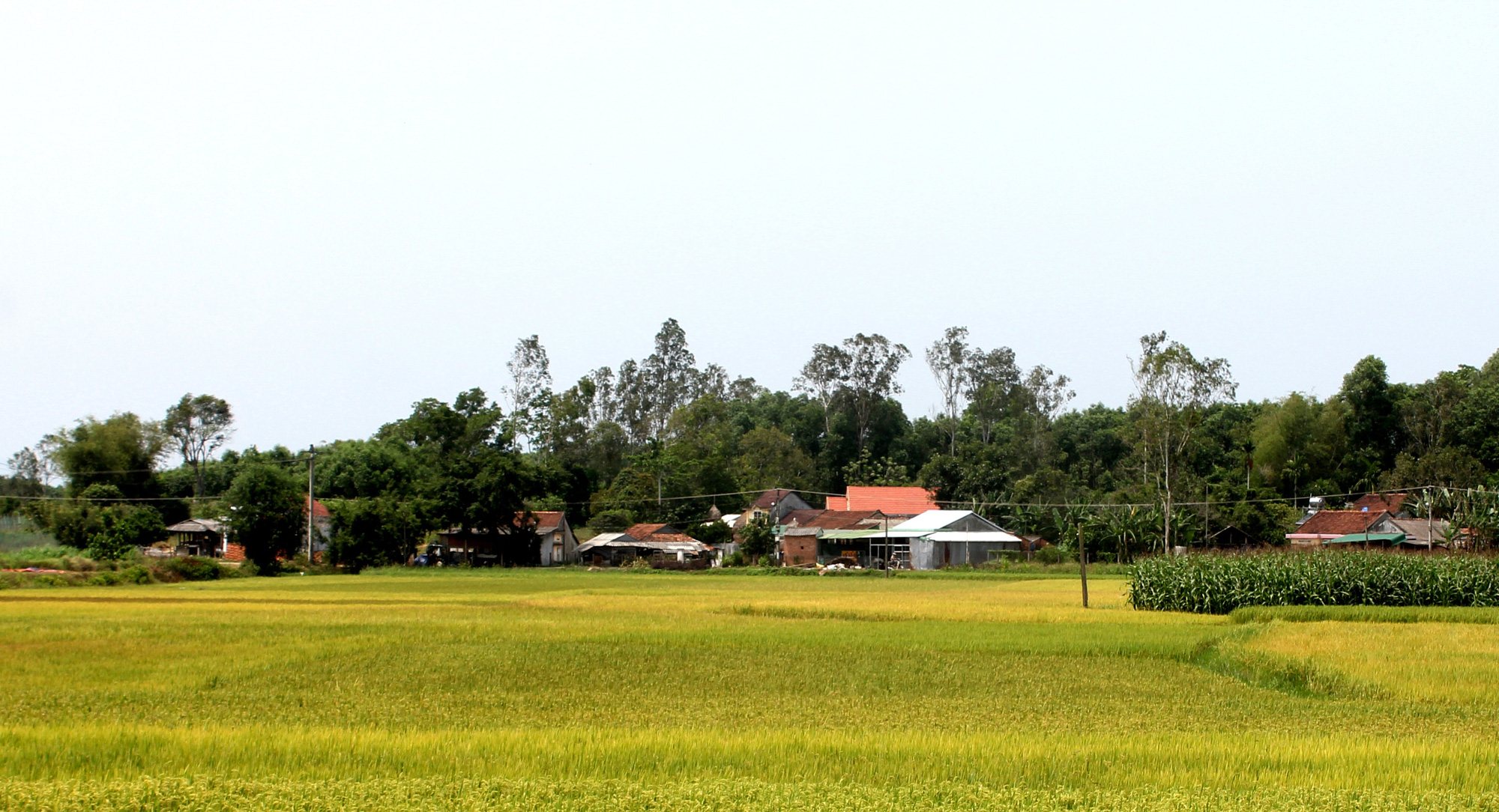 Chuyện làng Gia Hội