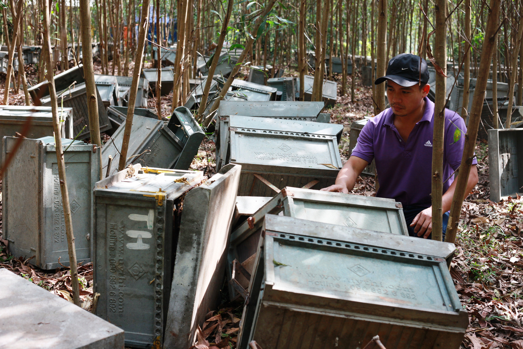 Đập ph&aacute; trại nu&ocirc;i ong v&igrave; sợ l&acirc;y lan... dịch Covid-19 - Ảnh 1.