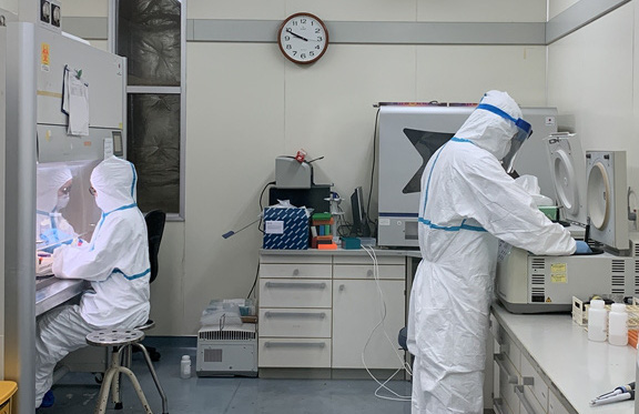 Ph&aacute;t hiện chủng virus SARS-CoV-2 g&acirc;y dịch Covid-19 tại VN c&oacute; thay đổi - Ảnh 2.