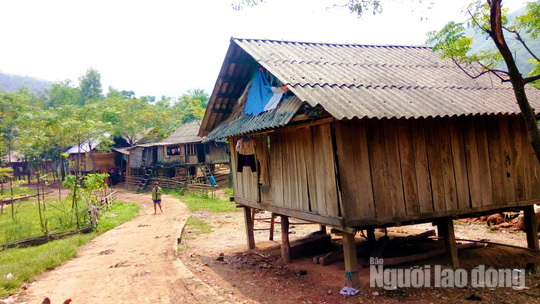 Quảng B&igrave;nh: Sợ dịch, 20 người d&acirc;n tộc M&agrave;y bỏ nh&agrave; v&agrave;o rừng - Ảnh 1.