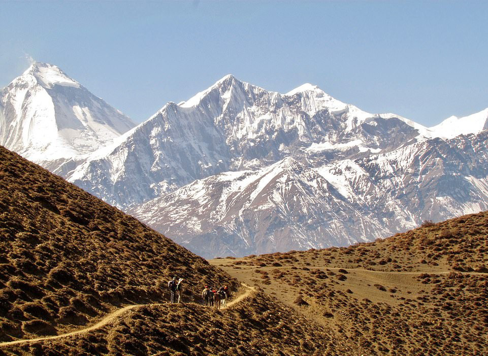 Sự sống khắc nghiệt nơi tận c&ugrave;ng d&atilde;y Himalaya - Ảnh 11.