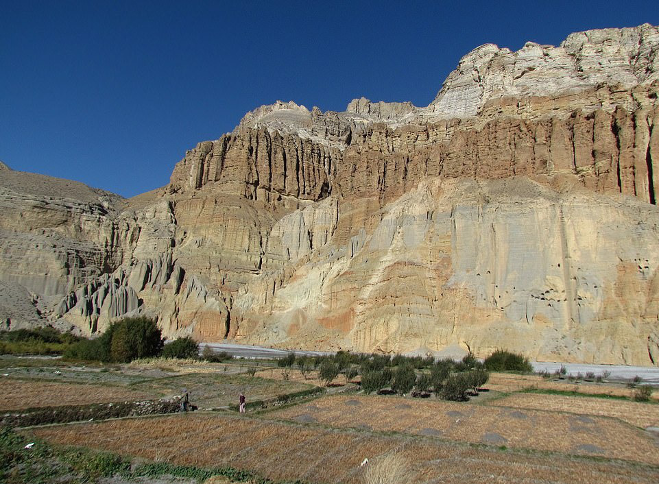 Sự sống khắc nghiệt nơi tận c&ugrave;ng d&atilde;y Himalaya - Ảnh 4.