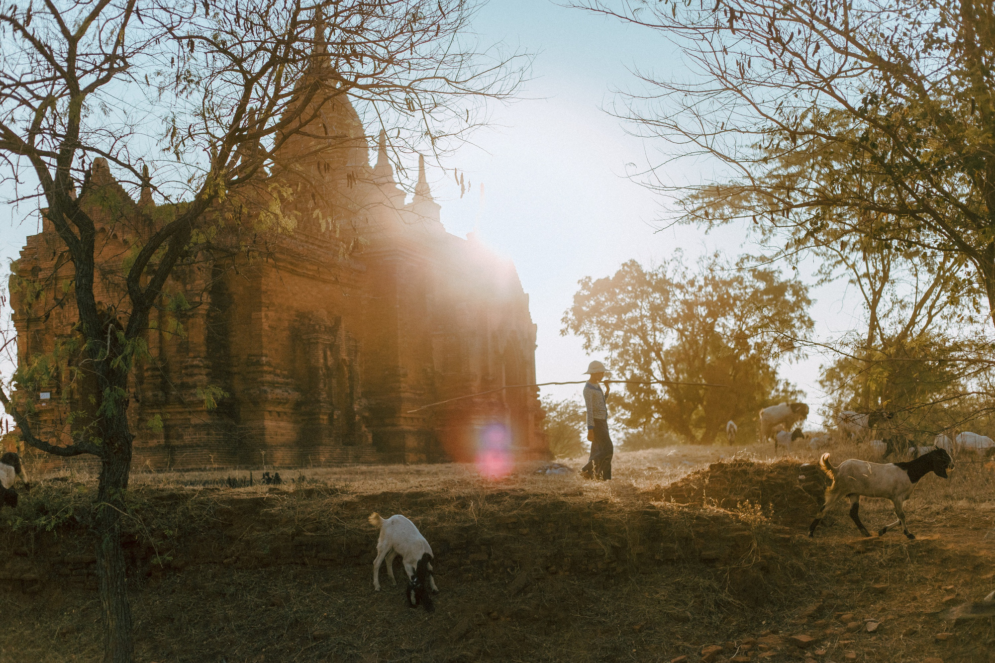Cuộc sống ở Myanmar l&agrave; những khung h&igrave;nh b&igrave;nh dị v&agrave; y&ecirc;n ả - Ảnh 28.