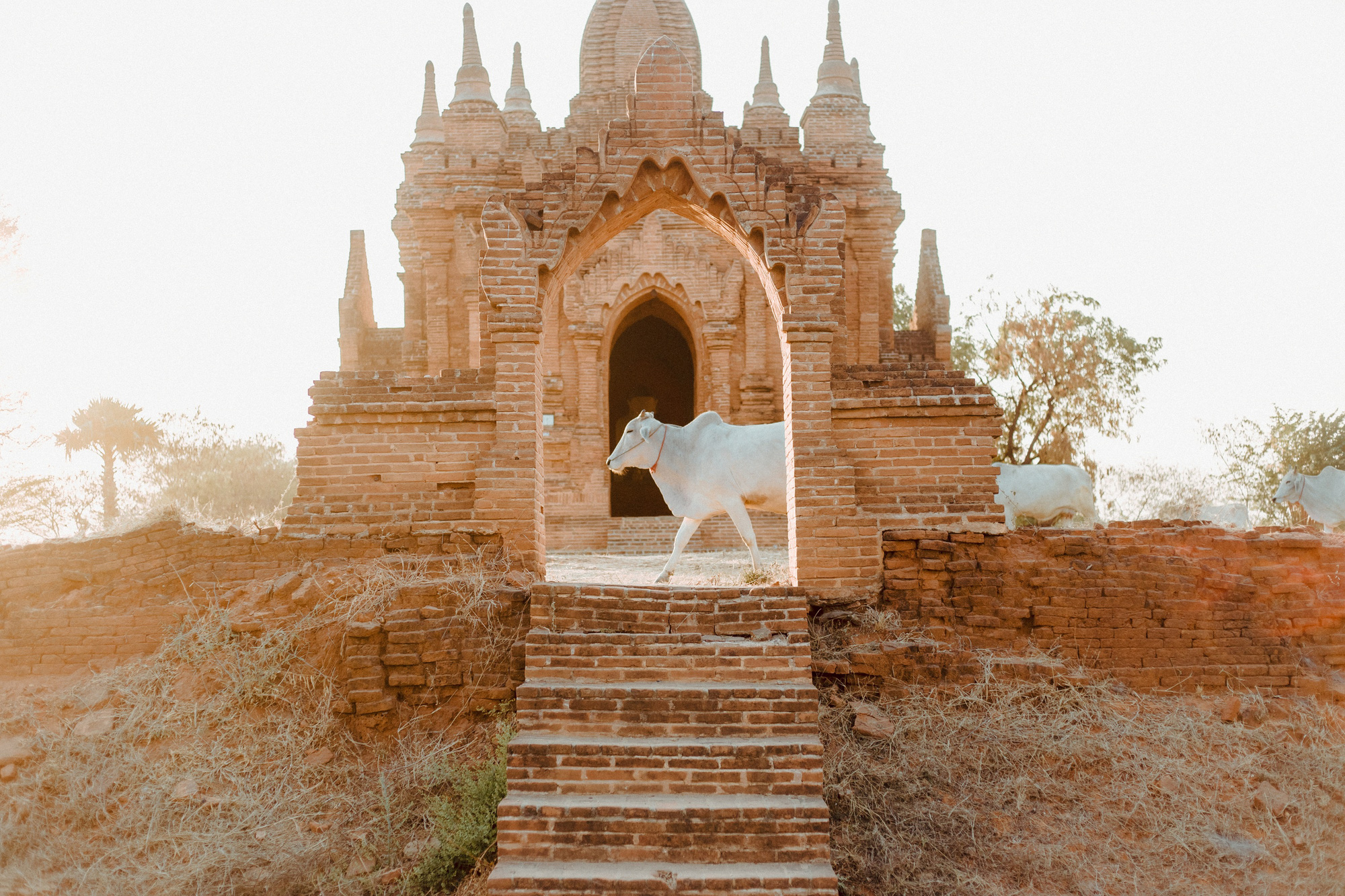 Cuộc sống ở Myanmar l&agrave; những khung h&igrave;nh b&igrave;nh dị v&agrave; y&ecirc;n ả - Ảnh 29.