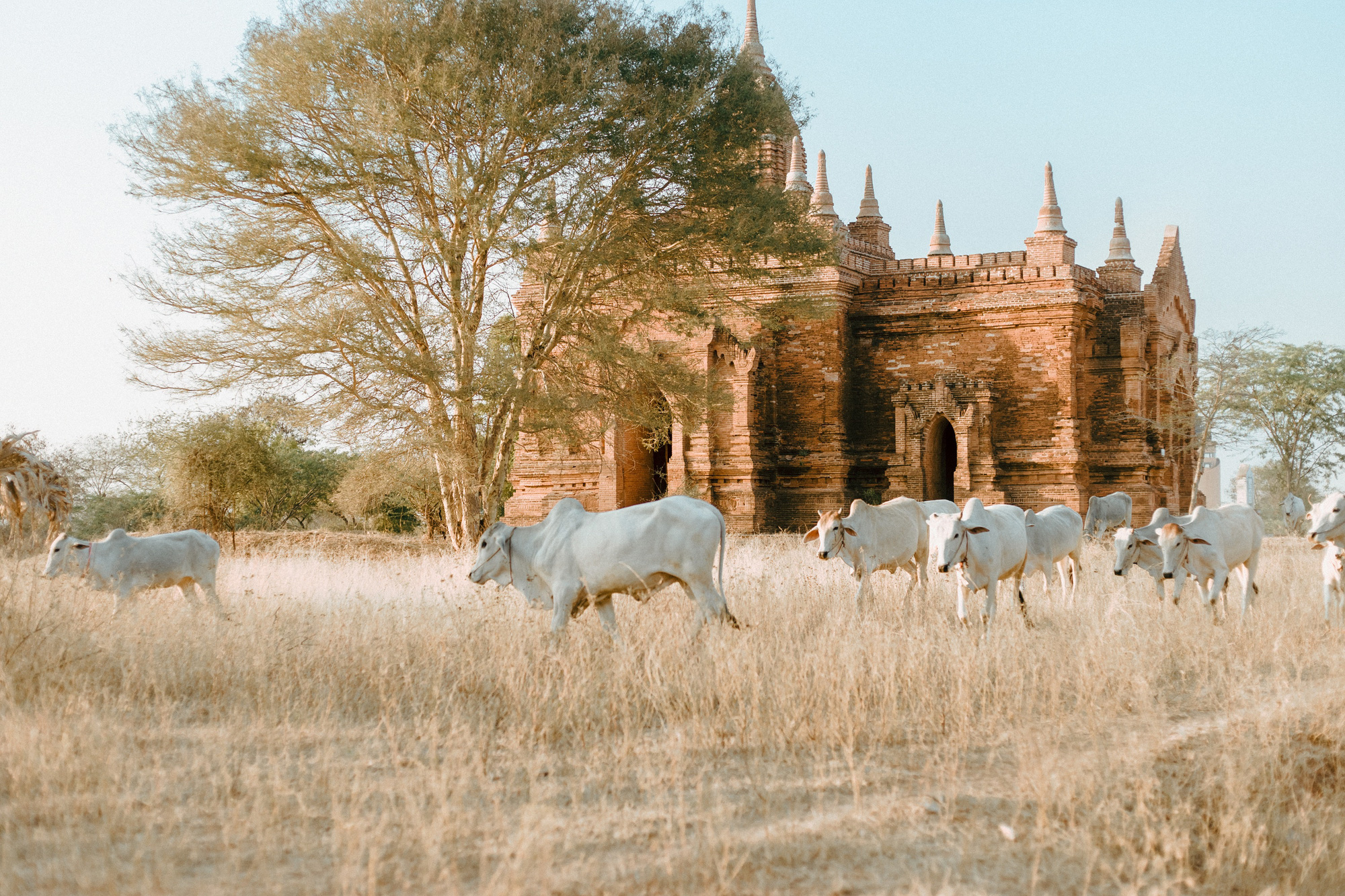 Cuộc sống ở Myanmar l&agrave; những khung h&igrave;nh b&igrave;nh dị v&agrave; y&ecirc;n ả - Ảnh 30.