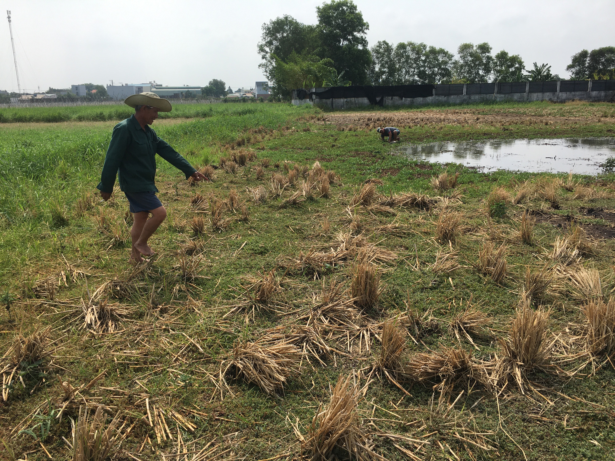 Sau cơn mưa lớn, một người dân đi bắt cua bị sét đánh chết