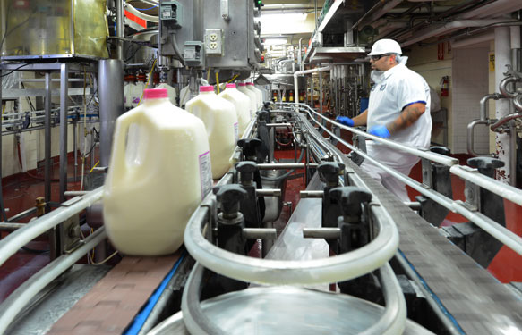 Nhà máy sữa tại Mỹ của Vinamilk góp sức cùng người dân vượt qua đại dịch Covid-19