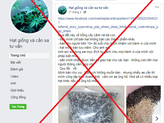 Lên chợ online bán hạt giống cần sa nhưng quảng cáo là "rau cần"