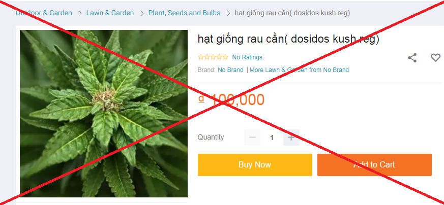 Lên chợ online b&aacute;n hạt giống cần sa nhưng quảng c&aacute;o l&agrave; rau cần - Ảnh 3.