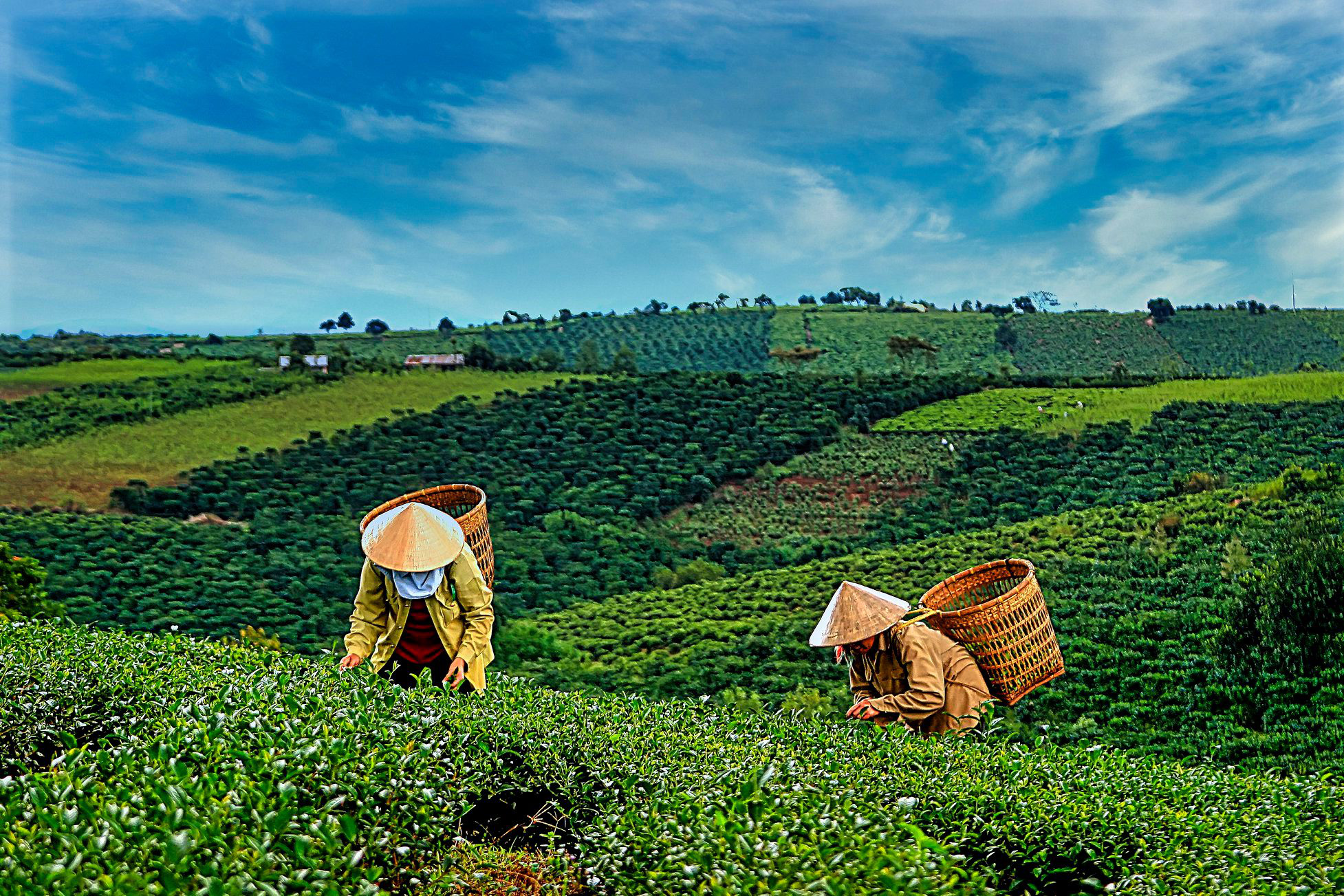 Tan chảy với ảnh phong cảnh của nh&agrave; nhiếp ảnh 86 tuổi  - Ảnh 29.