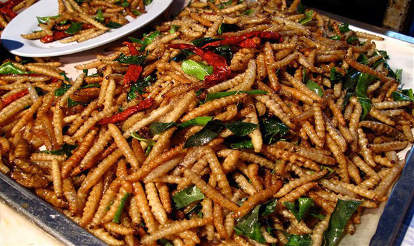 Loài người “nghiện” ăn côn trùng từ bao giờ?