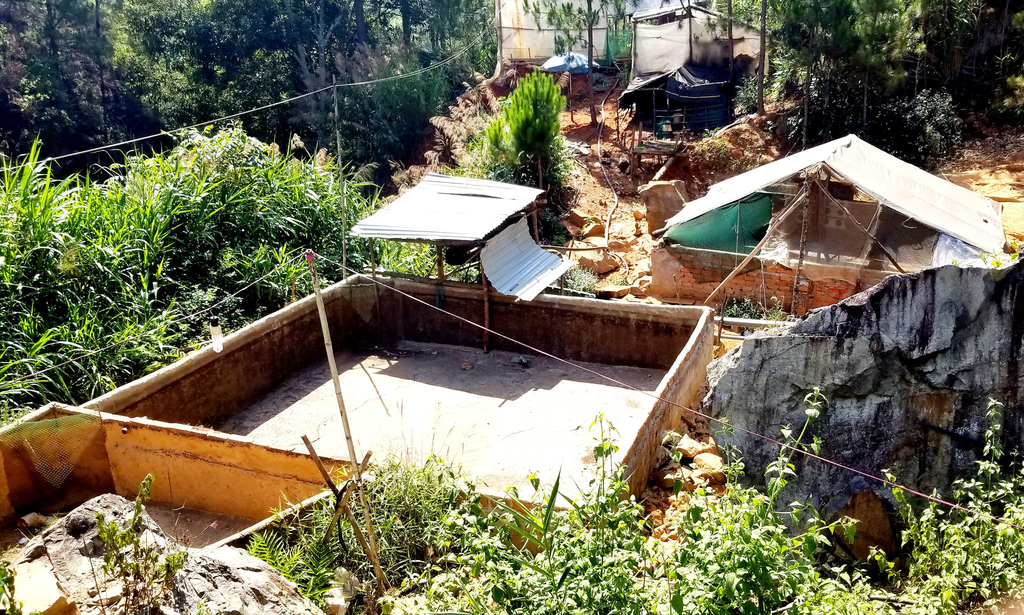 Hơn 5 tấn c&aacute; tầm thịt v&agrave; 4 ng&agrave;n c&aacute; giống chết nghi bị đổ thuốc s&acirc;u đầu độc - Ảnh 2.