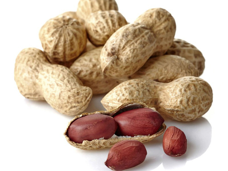 Những thực phẩm phổ biến có thể gây độc cho cơ thể - Ảnh 2.