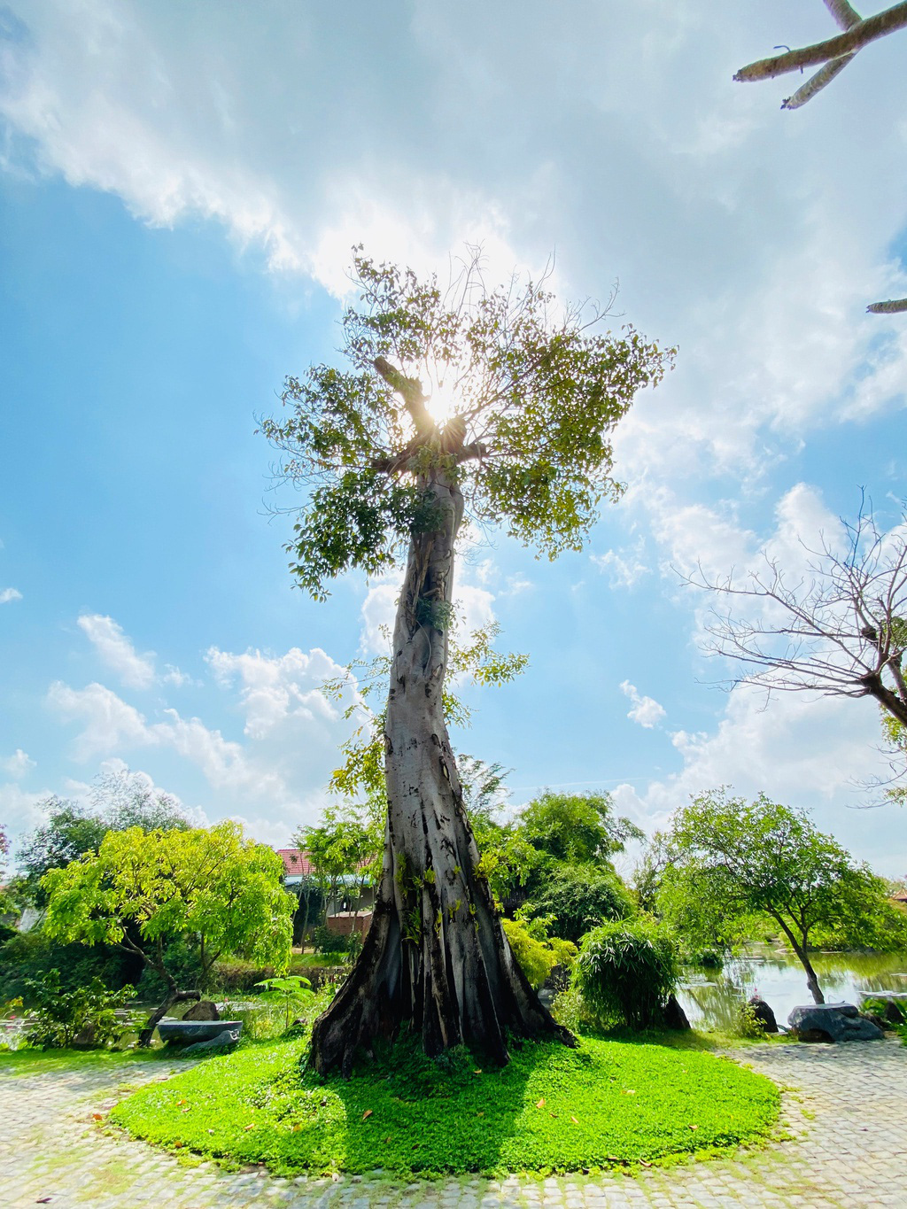 Sống ảo ở những điểm lạ m&agrave; quen khi vi vu Ph&uacute; Y&ecirc;n, Quy Nhơn - Ảnh 5.