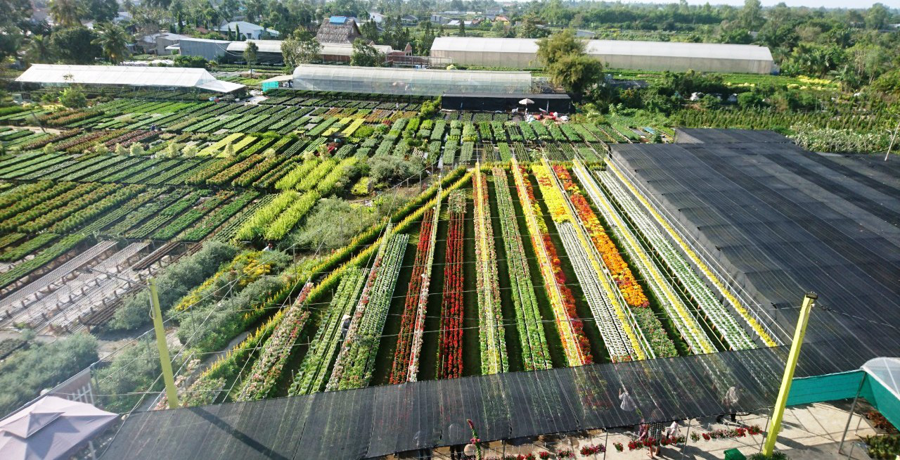 Đ&agrave; Lạt của miền T&acirc;y vắng tanh kh&aacute;ch trong kỳ nghỉ lễ k&eacute;o d&agrave;i 4 ng&agrave;y - Ảnh 1.