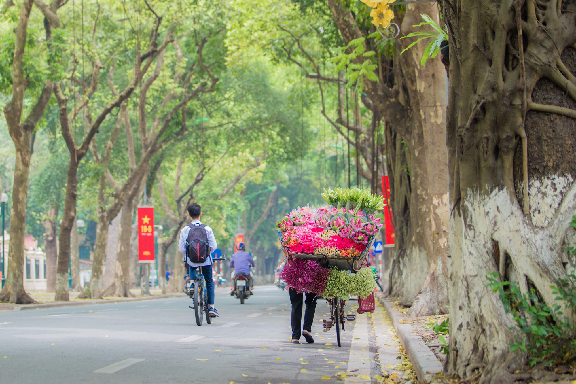Hoa sen đầu mùa rục rịch lên phố - Ảnh 4.