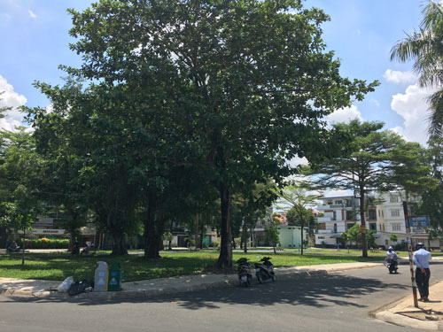 TP HCM "đòi lại" mảng xanh