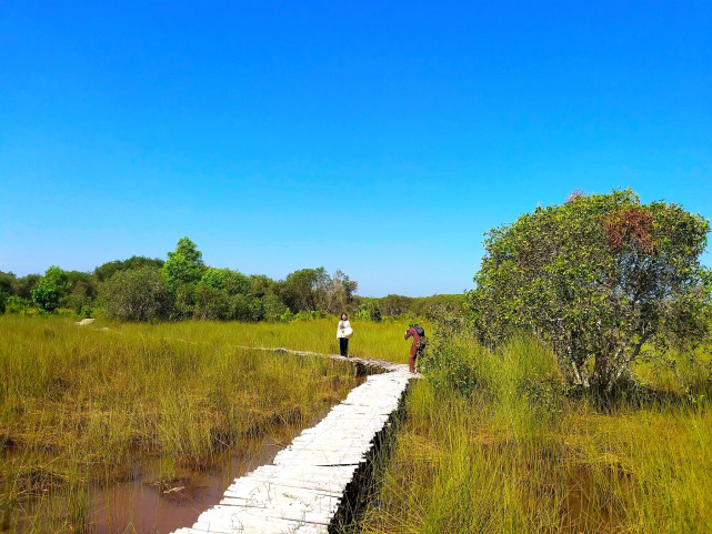 4 đường tour k&iacute;ch cầu đầy chất trải nghiệm tại TST tourist - Ảnh 5.