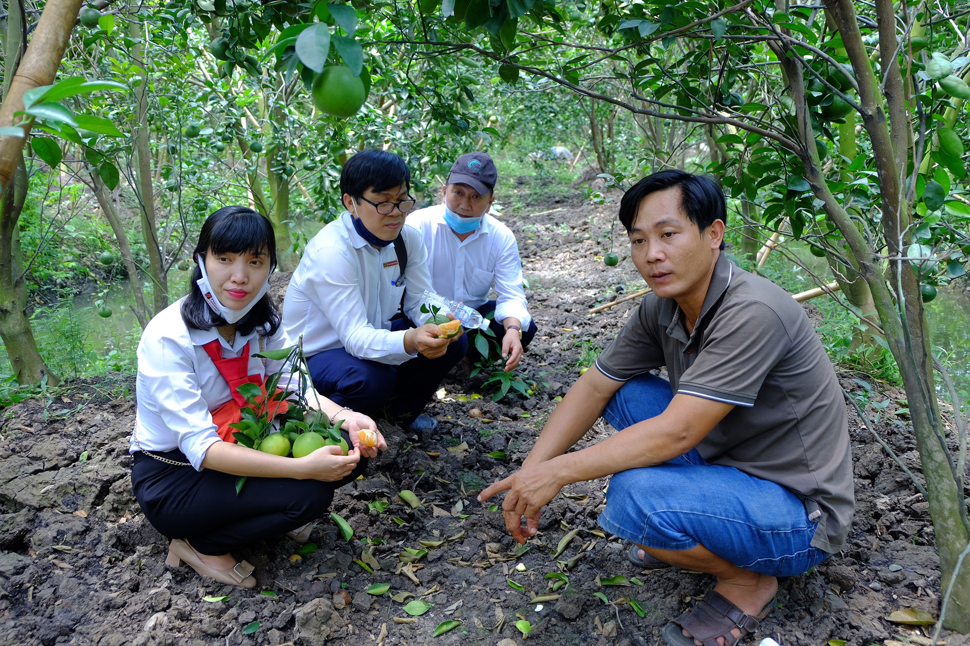 Gặp 2 nông dân “hốt bạc” từ cây cam sạch giữa dịch Covid-19