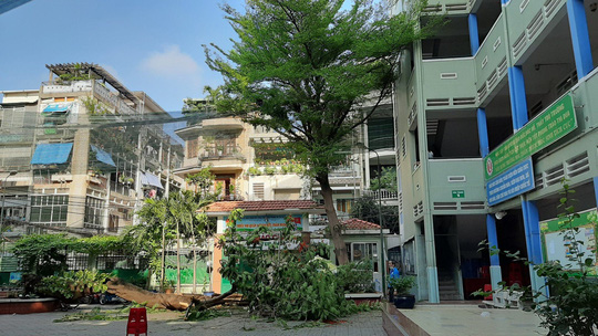 TP HCM: Cây phượng vĩ to bật gốc trong sân trường đè nhiều học sinh, 1 em tử vong - Ảnh 5.