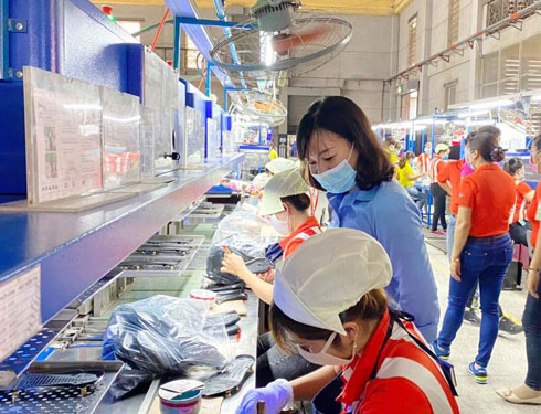 Bình Dương: 1.170 chủ nhà trọ miễn, giảm tiền thuê phòng cho công nhân