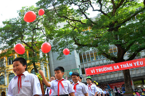 TP HCM tổng rà soát cây xanh