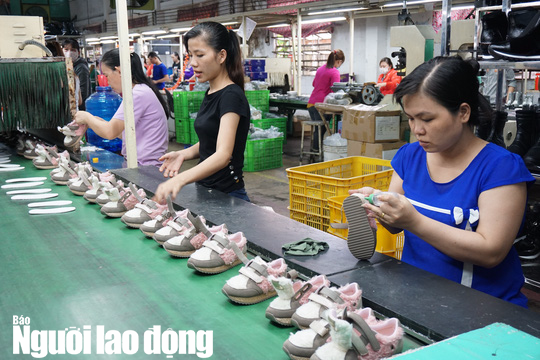 Những lưu &yacute; quan trọng NLĐ cần nắm r&otilde; để nhận hỗ trợ từ g&oacute;i 62.000 tỉ đồng - Ảnh 2.