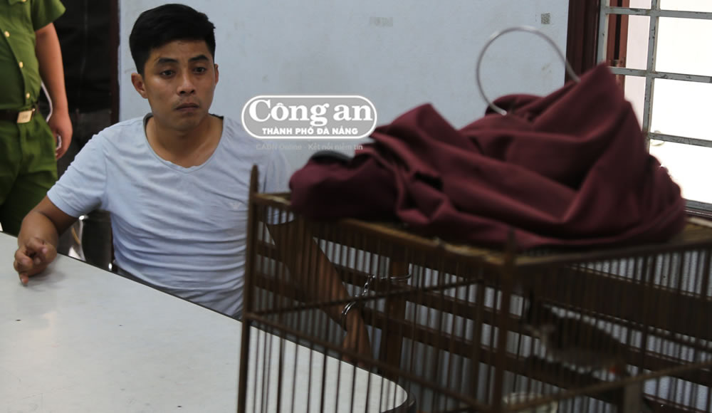 Đối tượng Nguyễn Tri Nghĩa lại bị bắt khi vừa m&atilde;n hạn t&ugrave; - Ảnh 1.