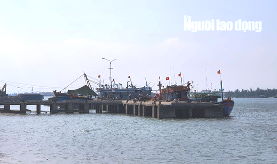 Nhóm 5 ngư dân Quảng Ngãi hỗn chiến với thương lái, 1 người bị thương - Ảnh 1.