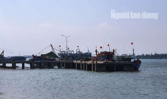 Nhóm 5 ngư dân Quảng Ngãi hỗn chiến với thương lái, 1 người bị thương