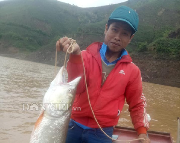 Tận mắt thấy cá măng khủng theo tay cao thủ rời... mặt nước! - Ảnh 4.