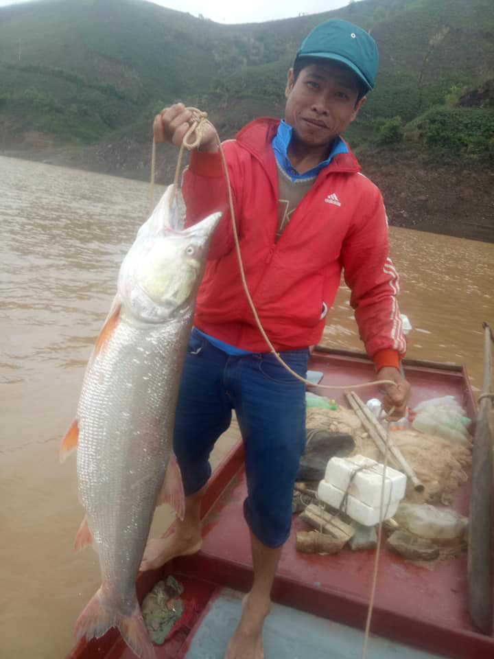 Tận mắt thấy cá măng khủng theo tay cao thủ rời... mặt nước! - Ảnh 2.