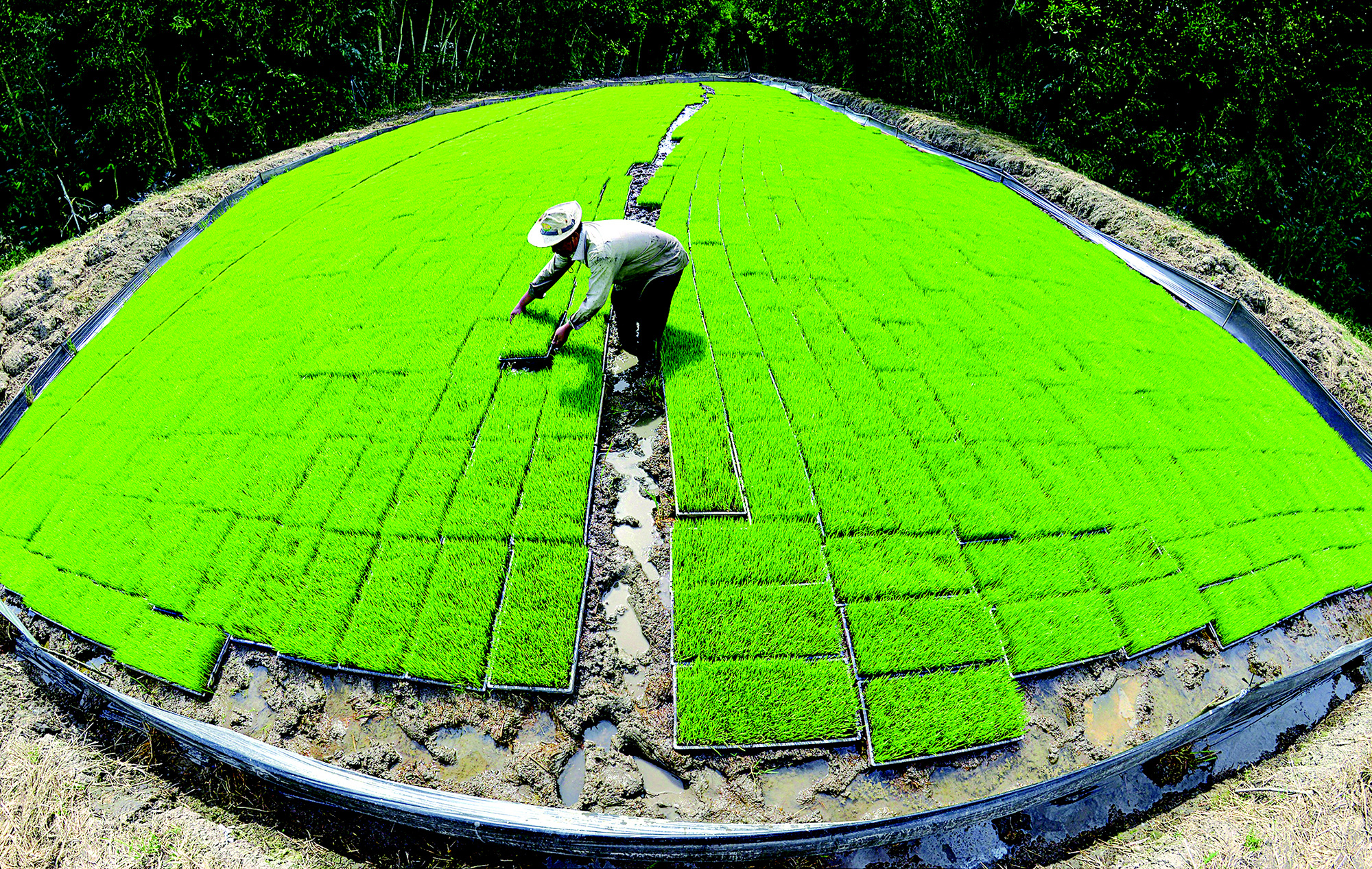 Nét đẹp lao động: Vượt khó vươn lên - Ảnh 1.