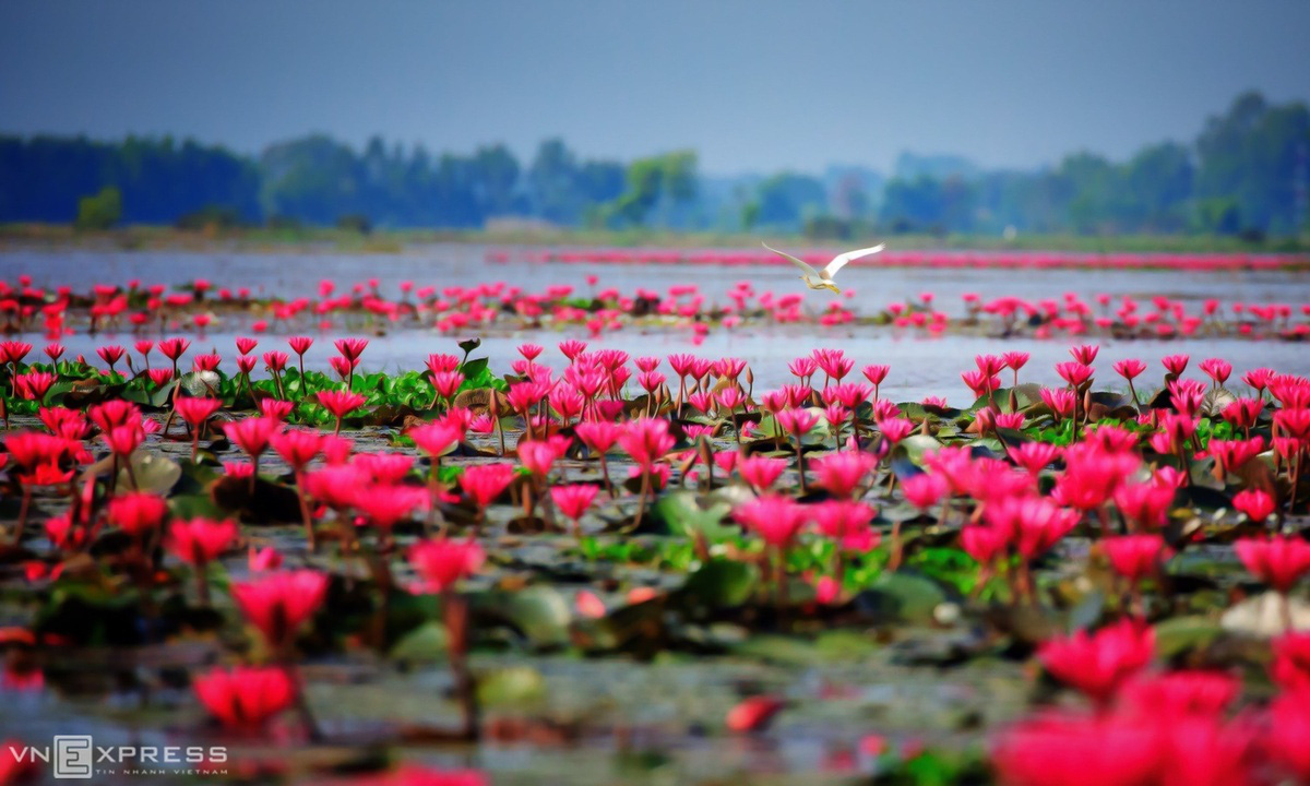 Vẻ đẹp T&acirc;y Ninh - Ảnh 4.